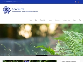 CENTAUREA