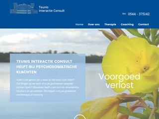 TEUNIS INTERACTIE CONSULT