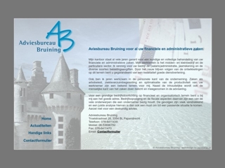 BRUINING ADVIESBUREAU E