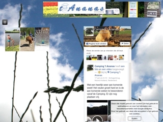 ANANAS CAMPING EN ZUIVELBOERDERIJ