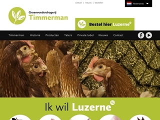 TIMMERMAN GROENVOEDERDROGERIJ BV J G