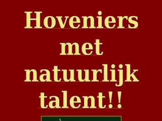 KLEIN HOVENIERS CEES & ZN
