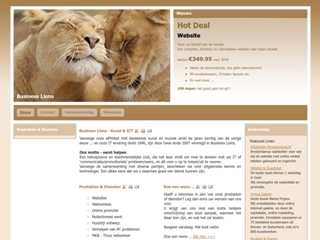BUSINESS LIONS