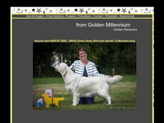 HONDEN TRIMSALON DOG'S FAIR