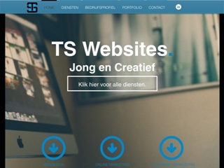 TS WEBSITES