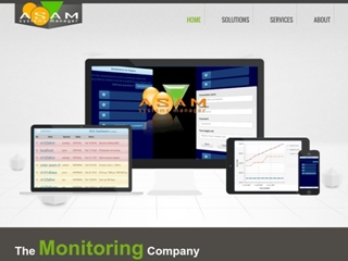 ASAMSYSTEMS MANAGER BV