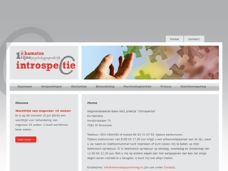 HAMSTRA EERSTELIJN PSYCHOLOGENPRAKTIJK INTROSPECTIE DRS E