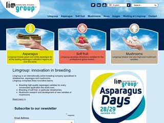 LIMGROUP B V