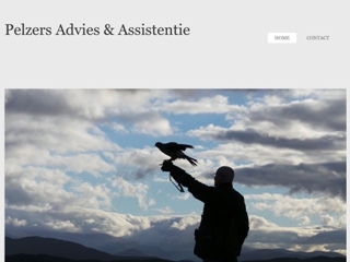 PELZERS ADVIES EN ASSISTENTIE