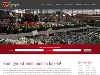 BLOEMISTERIJ HOGEDIJKEN DE