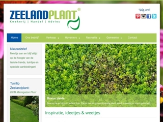 ZEELANDPLANT KWEKERIJ
