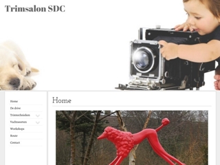 SHOW DOG CENTRE