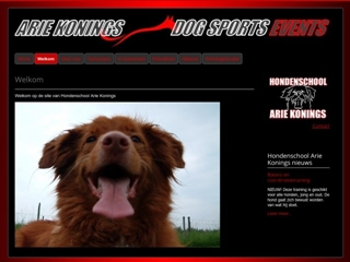 KONINGS HONDENSCHOOL ARIE