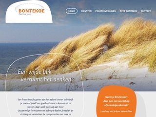 BONTEKOE ORGANISATIE ONTWIKKELING