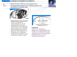 BLUE EYES OFFICEMANAGEMENT