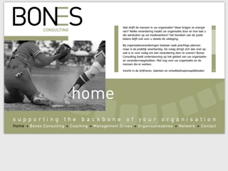 BONES CONSULTING