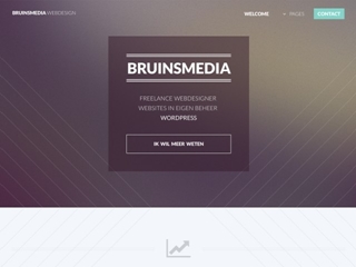 BRUINSMEDIA
