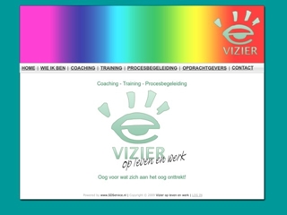VIZIER OP LEVEN EN WERK