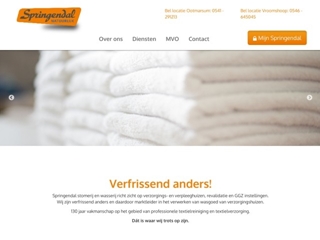 TEXTIELREINIGING SPRINGENDAL HET