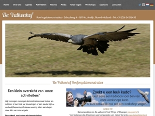 VALKENHOF ROOFVOGEL DEMONSTRATIES