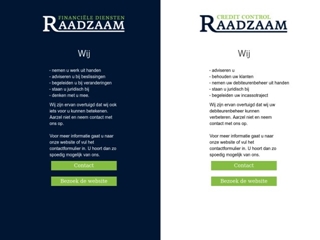 RAADZAAM FINANCIELE DIENSTEN