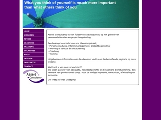 ASSELE CONSULTANCY