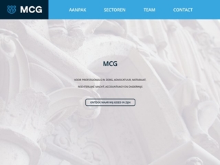 MEIJER CONSULTING GROUP