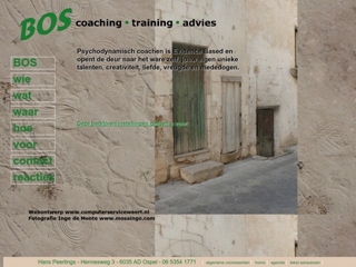 BOS COACHING/TRAINING/ADVIES