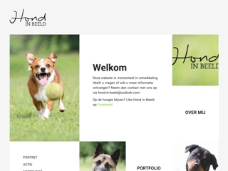 HOND IN BEELD