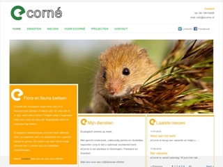 ECORNE