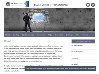 WIJNGAERT CONSULTANCIES DE