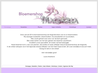 BLOEMENSHOP DE MAGNOLIA