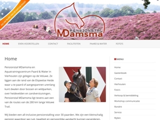HANDELSONDERNEMING DAMSMA