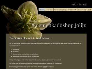 BLOEMEN KADOSHOP JOLIJN