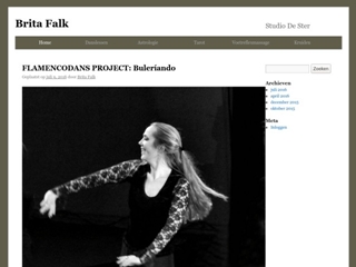DANSSTUDIO BRITA FALK