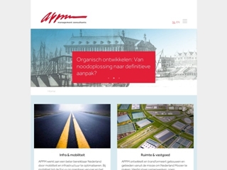 APPM MANAGEMENT CONSULTANTS
