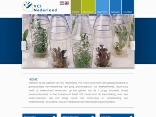 VCI NEDERLAND BV