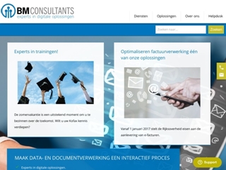 BM CONSULTANTS