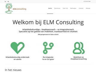 ELM CONSULTING