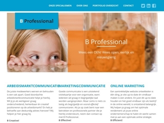 B PROFESSIONAL