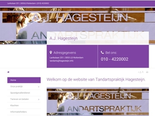 HAGESTEIJN A J