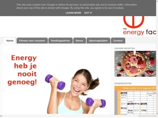 ENERGY FACTORY THE