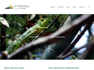 E-VISIONCY