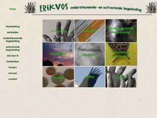 EVOB ERIK VOS ONDERSTEUNENDE BEGELEIDING