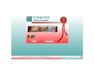 TURQUOISE BV