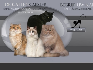 BEGRIJP UW KAT