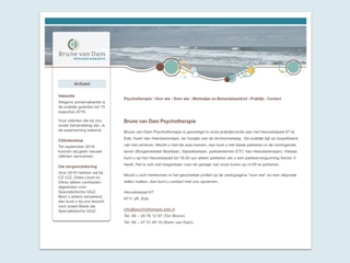 BRUNE VAN DAM PSYCHOTHERAPIE