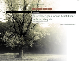 BUITENADVIES VOF