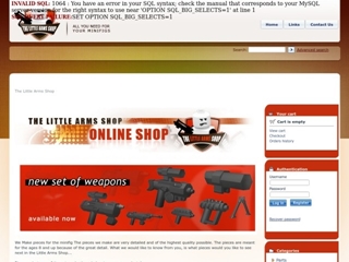 THE LITTLE ARMS SHOP