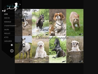BEST BUDDY DIERENFOTOGRAFIE